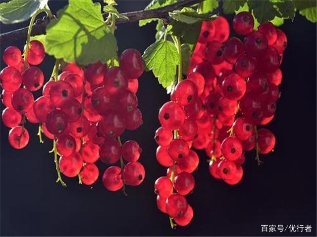 柳市网站建设建设公司：网络设计您需要了解趋势，适用于专为零基于学习UI而设计的新人，是否是网络设计的流行趋势，或颜色匹配的流行病趋势，掌握当前趋势的趋势也可以更好地掌握用户的心理学。 然后，您可以在设计期间发挥半级效果。