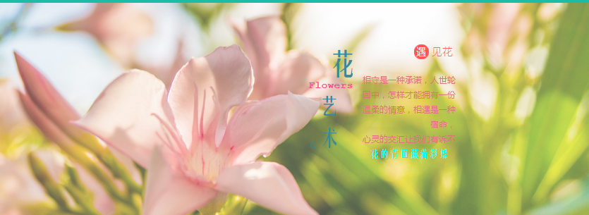 域名和主机已通过互联网演变，建筑成本正在增长。对于主要条目，开源建设程序的蓬勃发展，这是一个低成本的环境。一般来说，需要将每个网站管理员的成本放入网站上可能是域名和主机。域名和主机的选择决定了一定程度的网站的未来运行。适当的域名选择和良好的主机配置，可以避免在现场操作期间发生的一些基本问题。