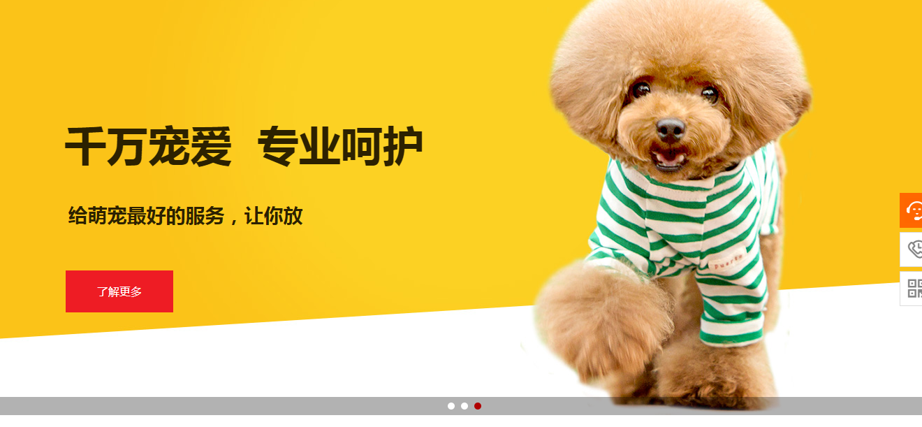 狮子（1）通过制造商提供的方法启动Windows NT安装程序（启动Windows NT安装程序的方法和RISC计算机的类型）;