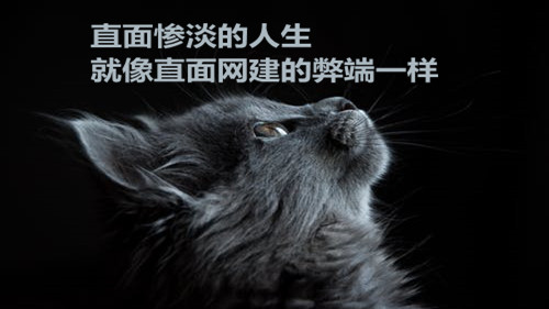 柳市网页设计官网_现在，中小企业网站计数，有别人的熟悉程度， 但很少。这些网站的接入非常低。不要花多少艺术设计思想，我看不到网站转换率，在本地网络公司信息技术有限公司以下那 有限公司 根据中小企业网站的当前情况审查网站建设中的缺点！