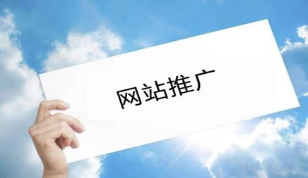 很多人在最近的人们咨询网站的事实是什么？以下是本地市场信息技术公司介绍。