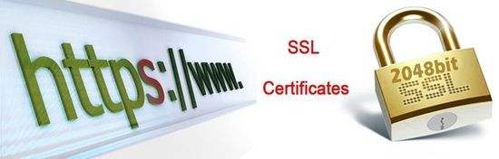 SSL Server数字证书可以依赖于高强度签名算法和服务器端加密协议，以完成Web访问客户端和服务器之间的HTTPS加密传输，这有效地防止了数据在Web传输中劫持。同时地，证书当局严格执行可靠的信息核查，您可以为网站提供者提供真实的网站内容提供商。有效和安全的身份信息，确实[企业官方网站建设公司]让用户可以随时浏览网站的相关内容。